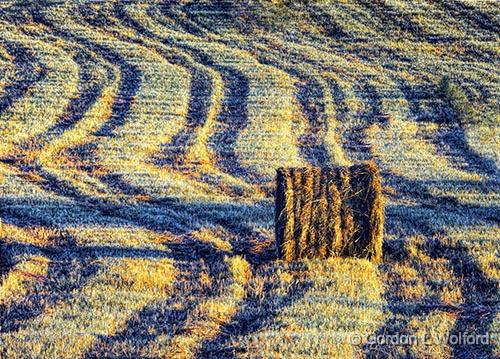 Bale In Mowed Field_DSCF06635-7.jpg - Photographed near Portland, Ontario, Canada.